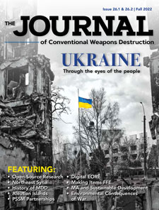 Photo of bombed out buildings in Ukraine with the Ukraine flag flying in the middle of the image