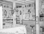 Basye Community Store. Inside view facing the counter diagonally from the right, wtih an arcade game pictured in the bottom left corner. by William Garber