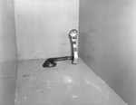 Snake in a box or cage, Stroop's Snake Farm, Bowmans Crossing, Va. by William Garber