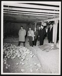 Six men in suits standing inside of a large barn with a large number of baby chickens. Gene Reunion's farm, Mt. Jackson, Va. by William Garber