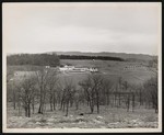 Close up view of a large poultry farm, probably Hill Top Hatchery, that is surrounded by trees by William Garber