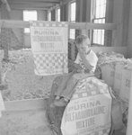 Small boy sitting on a tall bag of Purina mixture at the Mt. Jackson Mill. by William Garber