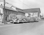 A row of company trucks for Triplett and Vehrencamp, a farming and hardware store. View without the drivers by William Garber