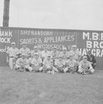 Team photo of the Front Royal male baseball team (probably Front Royal Cardinals of the Valley Baseball League), taken in front of a baseball field's fence which advertises for Woodstock businesses by William Garber