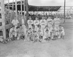 Team photo of the New Market (Rebels) baseball team by William Garber
