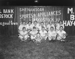 Team photo of a men's baseball team that has the letter "S" stitched into their uniforms. Taken against a fence of a baseball field that advertises Woodstock businesses by William Garber