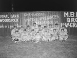 Team photo of the Shenandoah's men's baseball team, with a baseball field's fence advertising Woodstock businesses in the background by William Garber