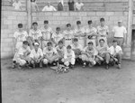 Team photo of the Stanley men's baseball team, with the fan stands in the background by William Garber