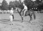 Timberville Horse Show, a man posing on a horse with a ribbon, with a woman and a little boy standing close by by William Garber