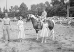 Timberville Horse Show, a young man riding a horse wearing a ribbon by William Garber