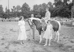 Timberville Horse Show, a horse wearing a ribbon in the middle of a small group of people by William Garber