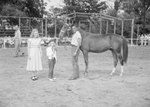 Timberville Horse Show, a girl and young child standing opposite a man leading a horse by William Garber