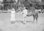 Timberville Horse Show, a girl standing next to a man leading a horse by William Garber