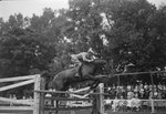 Broadway Horse Show, a rider and his horse high jumping by William Garber