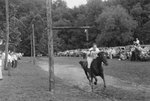 Man jousting, with spectators in the background. Natural Chimneys, Mount Solon, Va. by William Garber