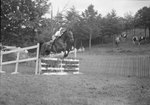 Front diagonal view of a horse and rider high jumping over a fence by William Garber