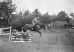 Side view of a horse and rider high jumping over a fence by William Garber