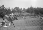 Side view of a horse and its rider completing a high jump over a fence by William Garber