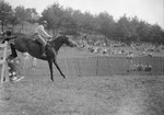 Side view of a horse and its rider completing a jump over a fence by William Garber