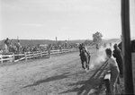 A horse race, with spectators on either side of the track by William Garber