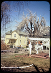 Backyard Tree Damage, Easter by James Madison University