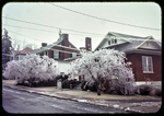 241 Paul St., ice-covered, front yard by James Madison University